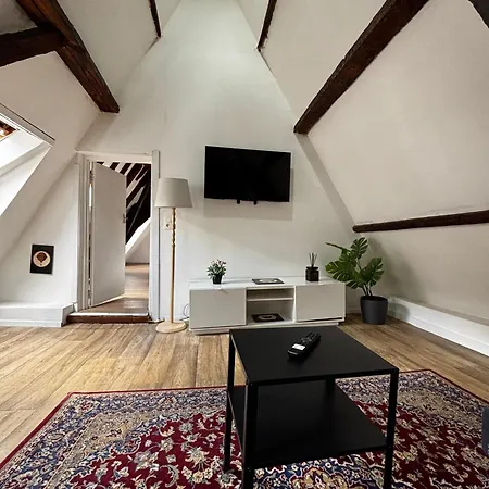 Stylish 2br &1lr Apt, Prime Belgian Location * Gent