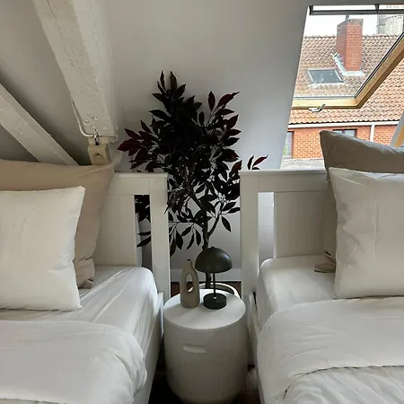 Stylish 2br &1lr Apt, Prime Belgian Location *