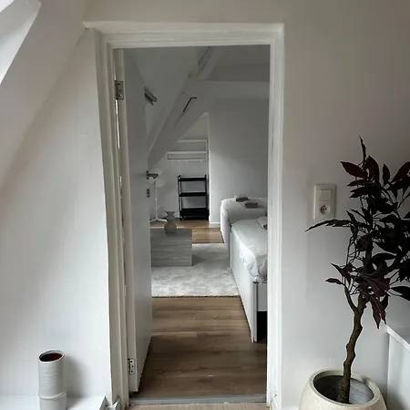 Stylish 2br &1lr Apt, Prime Belgian Location