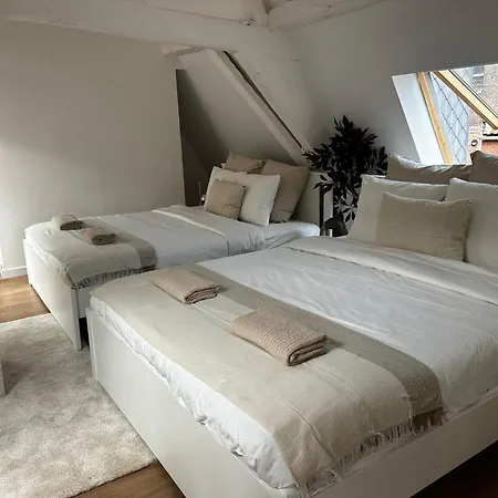 Stylish 2br &1lr Apt, Prime Belgian Location