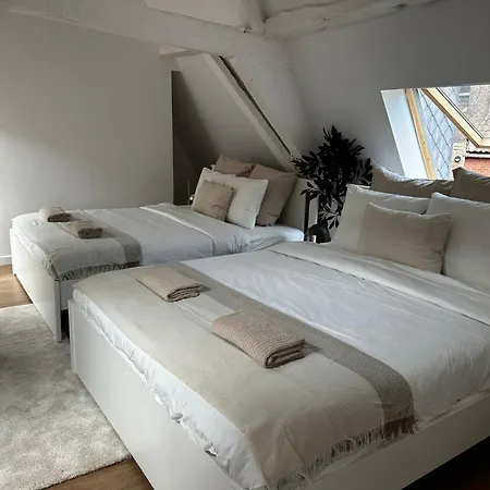 Stylish 2br &1lr Apt, Prime Belgian Location アパート