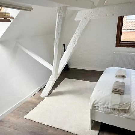 Stylish 2br &1lr Apt, Prime Belgian Location