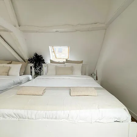 Stylish 2br &1lr Apt, Prime Belgian Location *