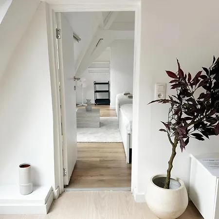 Stylish 2br &1lr Apt, Prime Belgian Location アパート *