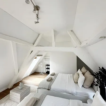 Stylish 2br &1lr Apt, Prime Belgian Location *